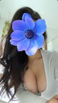 Homebush Massage Flemington gallery photo 6
